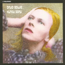 Hunky Dory 0825646289448