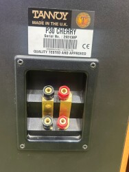 P30 Zuilspeakers 29318P 4
